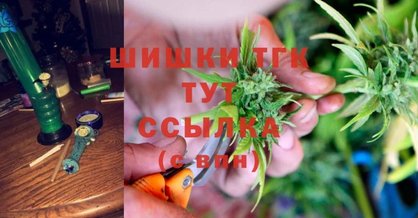 spice Арсеньев